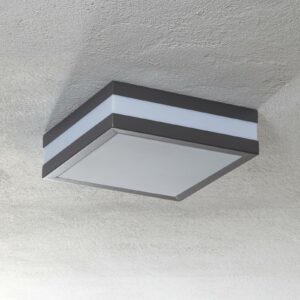 Matteo udendørs loftslampe, 2 x E27, IP44