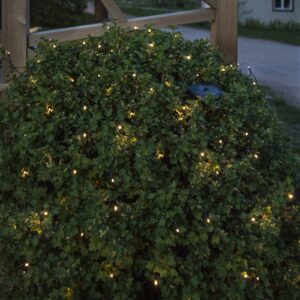 Bassis LED-solcellelyskæde, 10 m lang