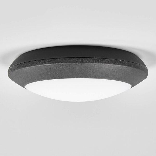 Berta udendørs loftlampe med LED, sort, CCT