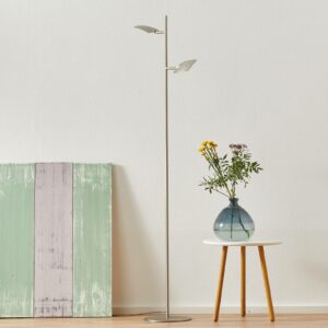 Raggio LED-gulvlampe, 2 lyskilder, stål