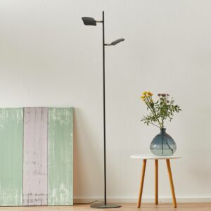 Raggio LED-gulvlampe, 2 lyskilder, sort