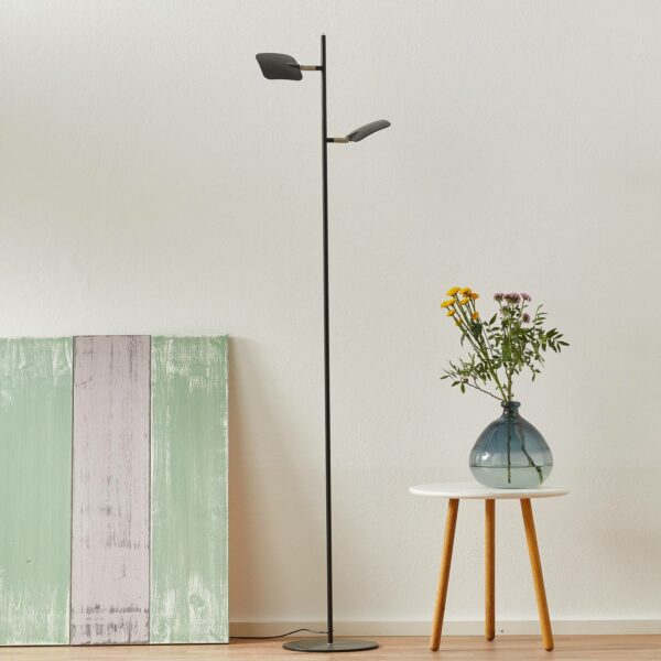 Raggio LED-gulvlampe, 2 lyskilder, sort