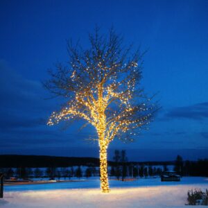 Chrissline Extra lyskæde, 50 LED&apos;er, 2.300 K
