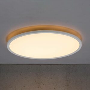 Bronx LED-loftlampe 2.700 K, Ø 42 cm