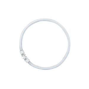 2Gx13 LUMILUX T5 ringformet lysstofrør, 22 W 830