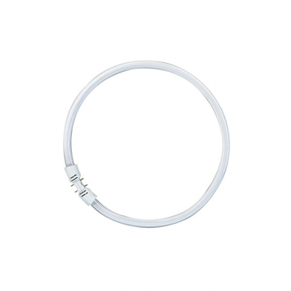 2Gx13 LUMILUX T5 ringformet lysstofrør, 40W 827