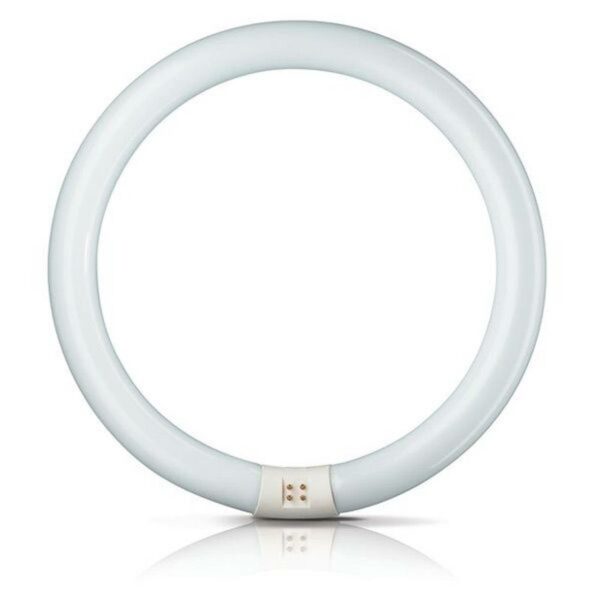 G10q 32W 830 ring-lysstofrør Master Circular TL-E