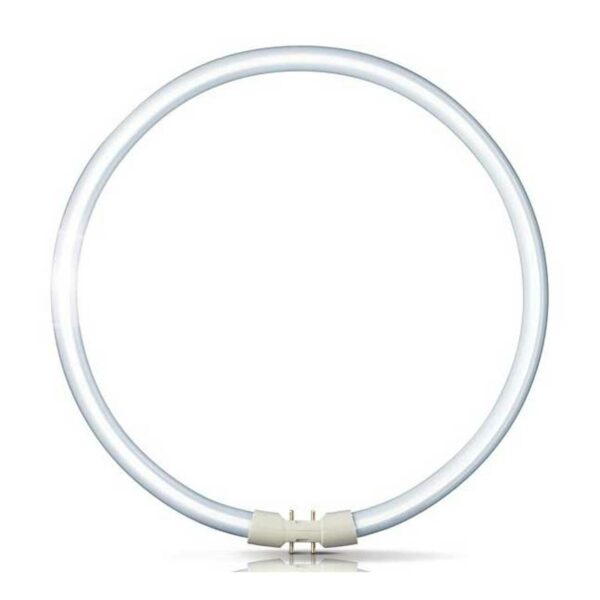 2GX13 55W 840 ring-lysstofrør Master TL5