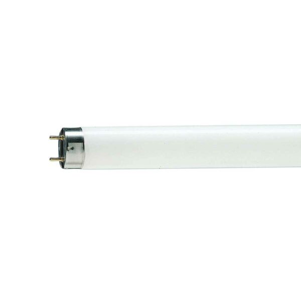 G13 T8 36W lysstofp. MASTER TL-D Graphica 950