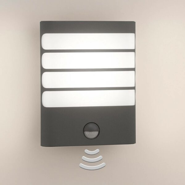 Philips Raccoon LED-væglampe antracit