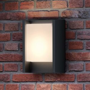 Philips Arbor udendørs LED-væglampe, 1 lyskilde