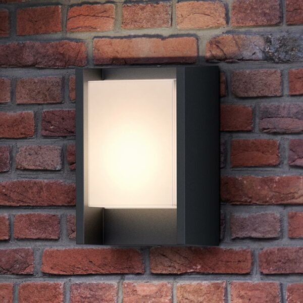 Philips Arbor udendørs LED-væglampe, 1 lyskilde