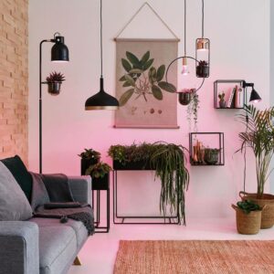 Paulmann LED-plantelyspære E27 Grow Green 6,5 W