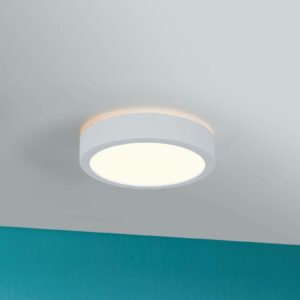 Paulmann Aviar LED-loftlampe Ø 22 cm hvid 3.000 K