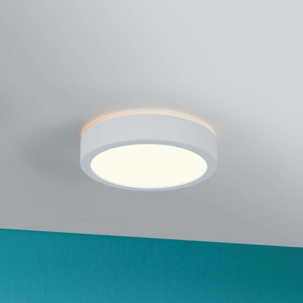Paulmann Aviar LED-loftlampe Ø 22 cm hvid 3.000 K