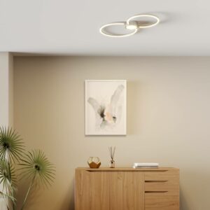 LED-loftlampe Duetto, cirkler