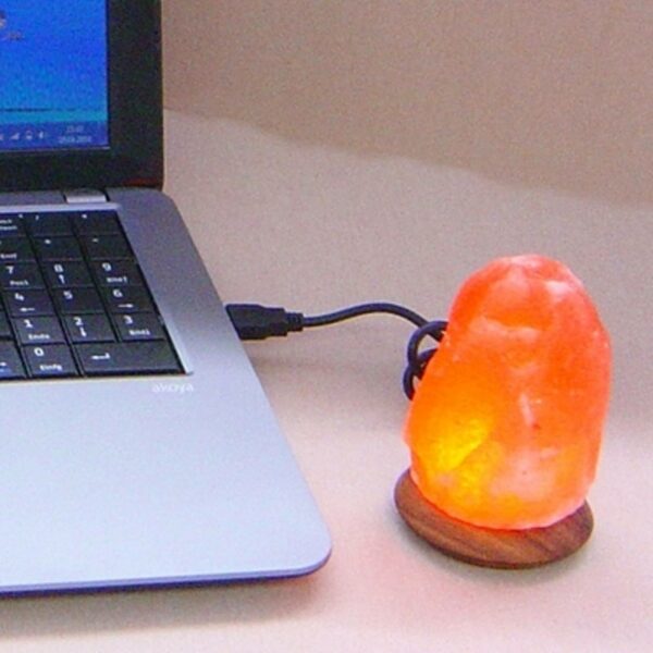 COMPUS - saltlampe med USB til computere