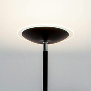 LED-uplight lampe Malea i sort