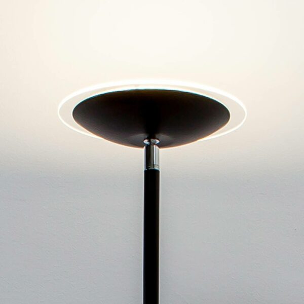 LED-uplight lampe Malea i sort