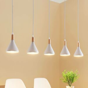LED pendellampe Arina i hvid og 5 lyskilder