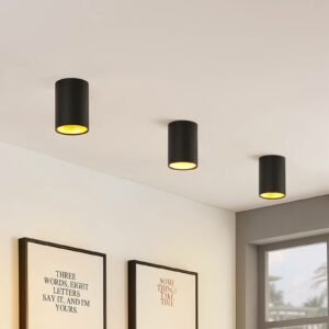 ELC Maylou Downlight, rund, sort og guld, GU10