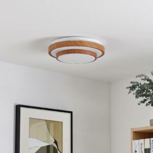 Lindby Vaako LED-loftlampe, rund, 29,5 cm