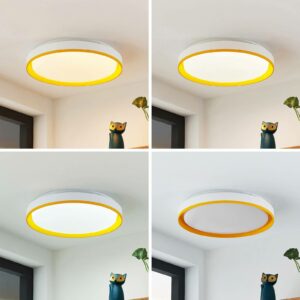 Lindby Divora LED-loftlampe, CCT, Ø 41,5 cm