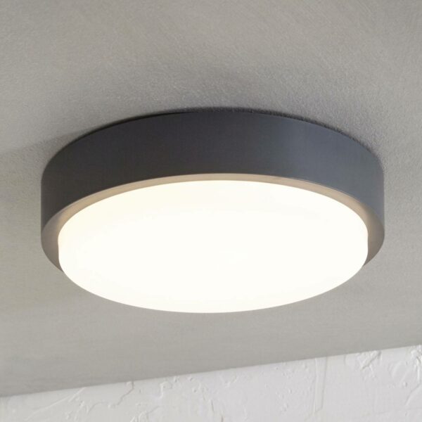 Udendørs loftlampe Nermin med LED, IP65, rund