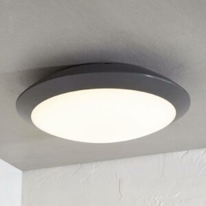 Udendørs loftlampe Naira med LED, grå, uden sensor