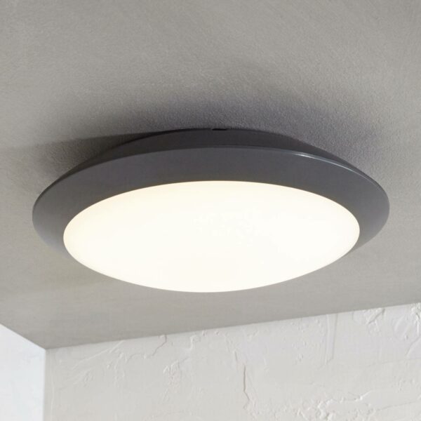 Udendørs loftlampe Naira med LED, grå, uden sensor
