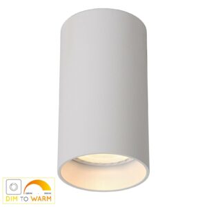 Delto LED-loftlampe, dim to warm, rund, hvid