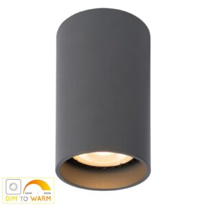Delto LED-loftlampe, dim to warm, rund, grå