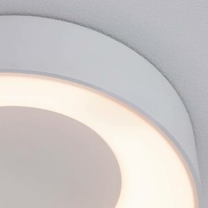 Paulmann HomeSpa Casca LED-loftlampe, Ø 30 cm