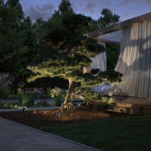 Paulmann Plug & Shine Radix LED-spot med jordspyd