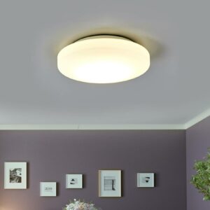 LED-loftlampe til badeværelset Malte af opalglas