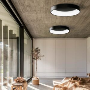 Dilga DALI LED-loftlampe Ø 60 cm Casambi sort