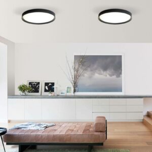 Minsk DALI LED-loftlampe Ø 60 cm Casambi sort