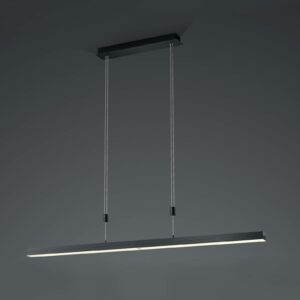 B-Leuchten Expanda-X LED-pendellampe, antracit