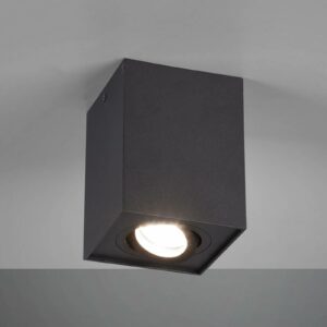 Biscuit loftlampe, 1 lyskilde, sort