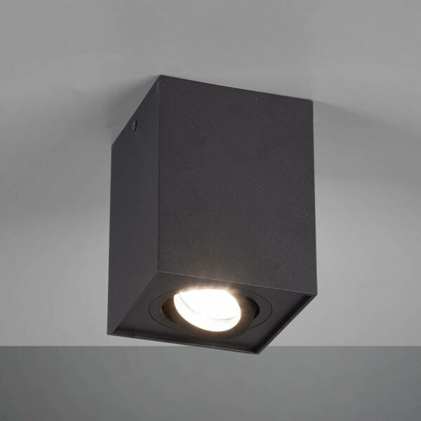 Biscuit loftlampe, 1 lyskilde, sort