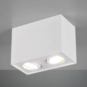 Loftlampe Biscuit, 2 lyskilder, hvid