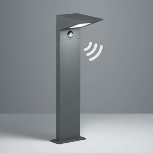 Nelson LED-sokkellampe, højde 50 cm, med sensor