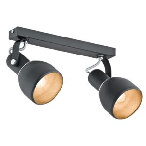 Fiord loftspot, 2 lyskilder, sort